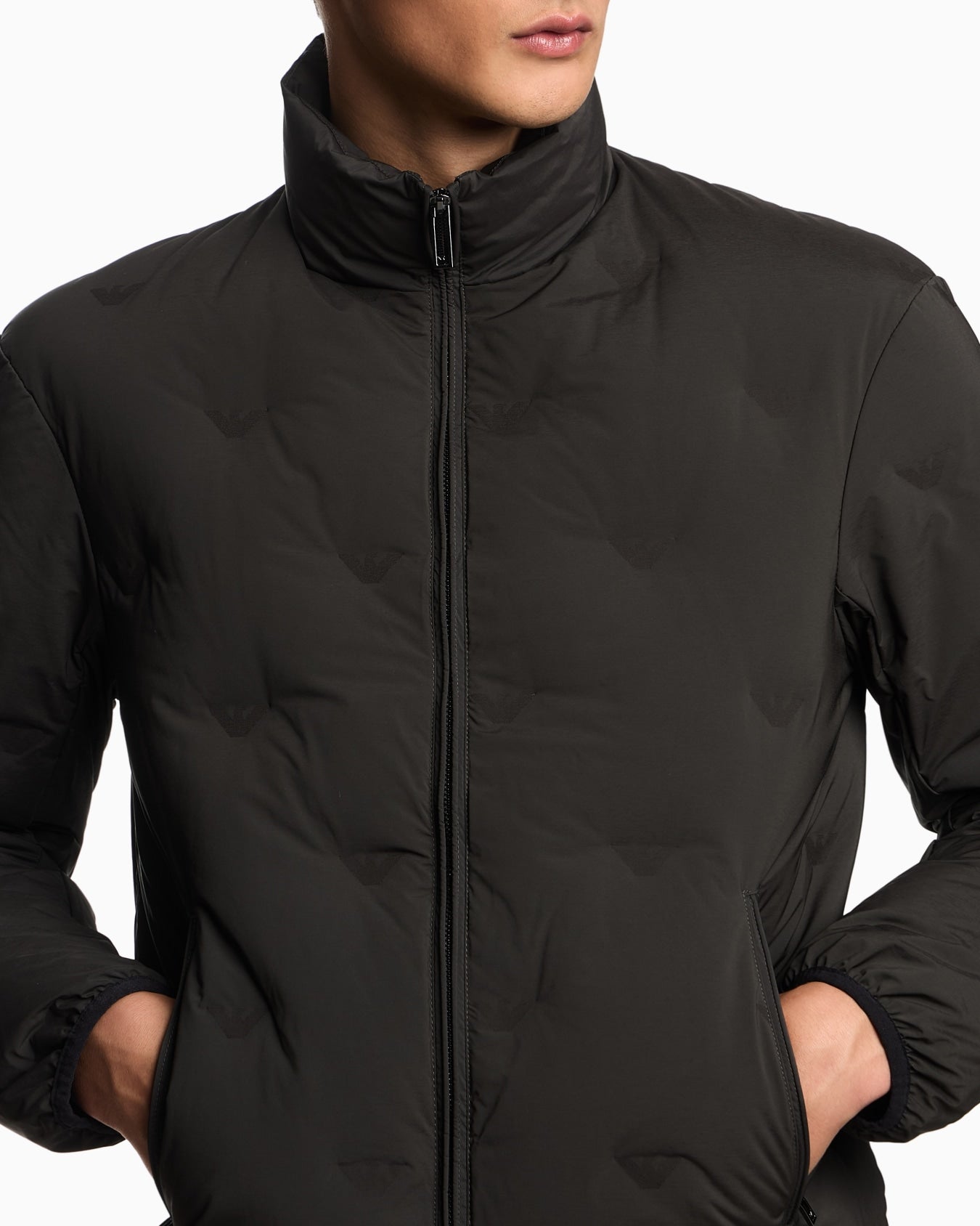 All-Over Eagle Full Zip Down Jacket