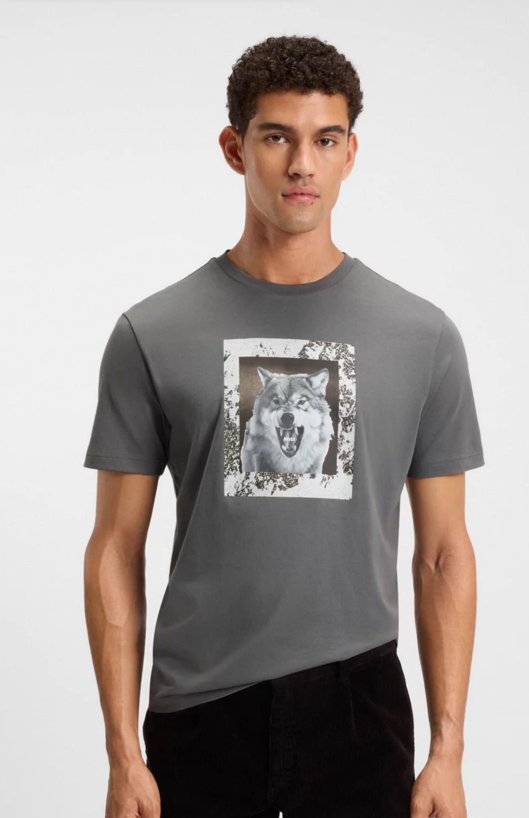 Cotton-Jersey T-Shirt With Animal Artwork